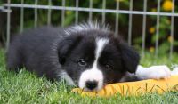 IMG_0959 50